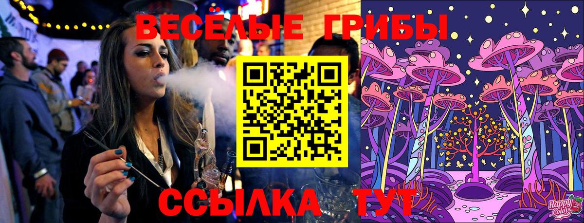 Псилоцибиновые грибы Psilocybe Гурьевск
