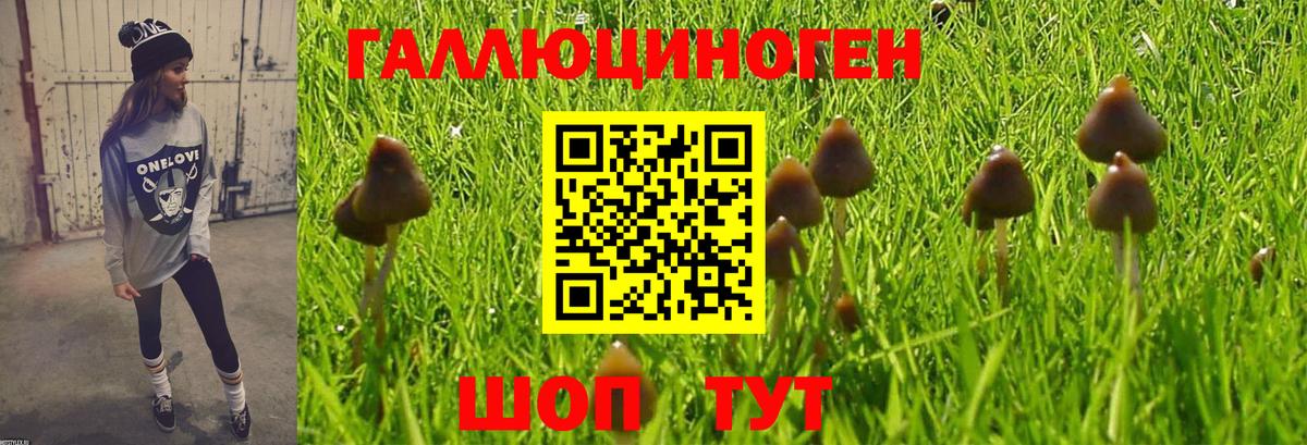 Псилоцибиновые грибы мухоморы  Вход с VPN  Гурьевск 